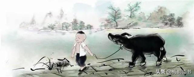 悠悠然然,随心而行,静听花落,坐看云舒,读他们笔下这些诗