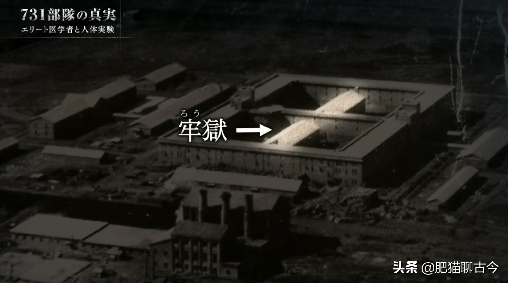 「酷刑使徒」活体解剖、冰冻实验，揭秘