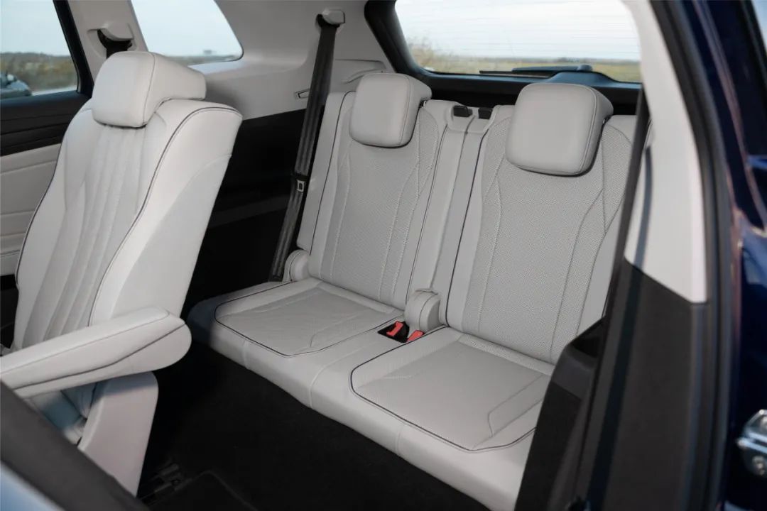 预算20-30万买电动车，看大众ID.就够了吗？