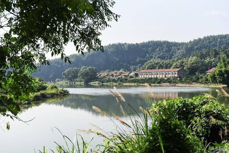 江西泰和庆江化工秘史：最早军转民小三线企业，90年代硝化棉霸主