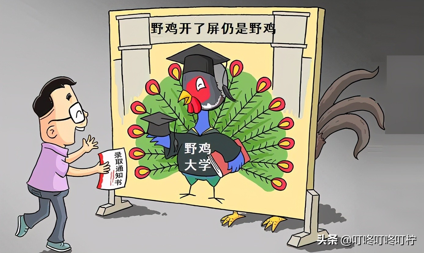 河北省“野鸡大学”曝光，校名起的难辨真假，毕业证“如同废纸”