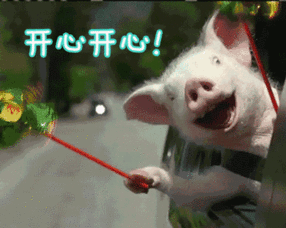 @深圳人，今天起，这些新规将影响你我的生活