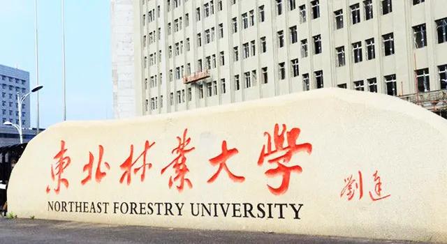 哈尔滨林业大学（高考院校数据解读）