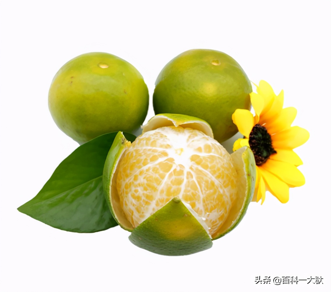 十大最好吃的橘子（柑子）介绍