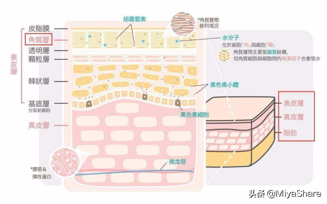 3款卸妆油测评：Fancl最便宜卸得最干净！但建议大多数人不要用