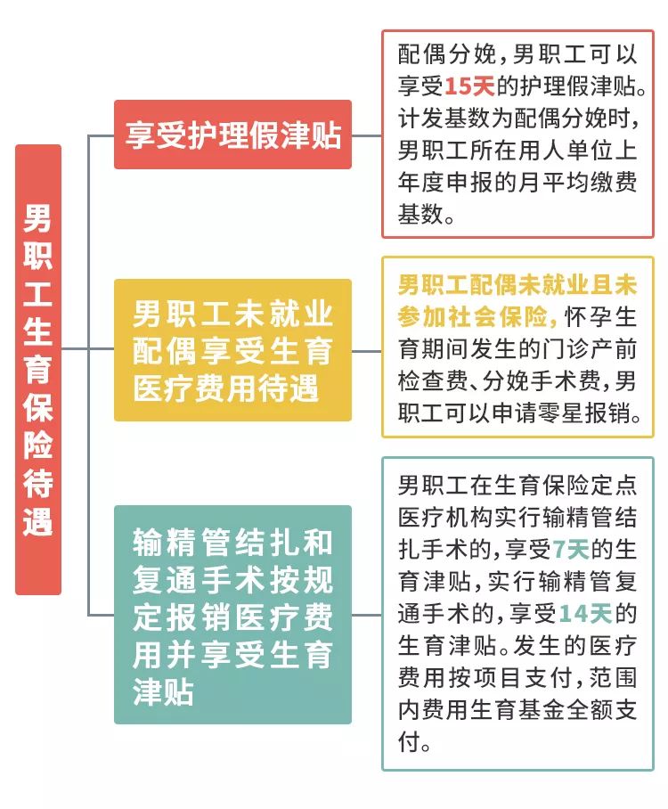 男职工生育险怎么报销，男职工缴纳的生育保险怎么用