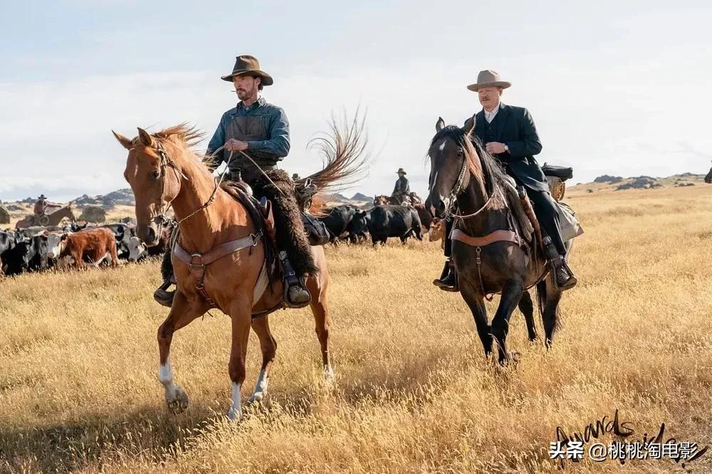 今年最后4个月，就看这些新片了
