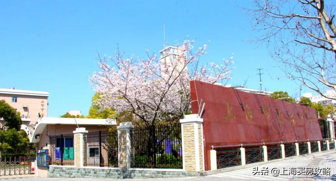 非市重点却有自招权，特长班免费学！沪12所特色校“特”在哪？