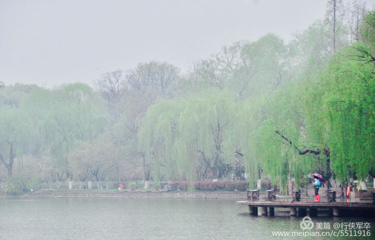 莫愁湖——粉黛江山，留得半湖烟雨；王侯事业，都如一局棋枰