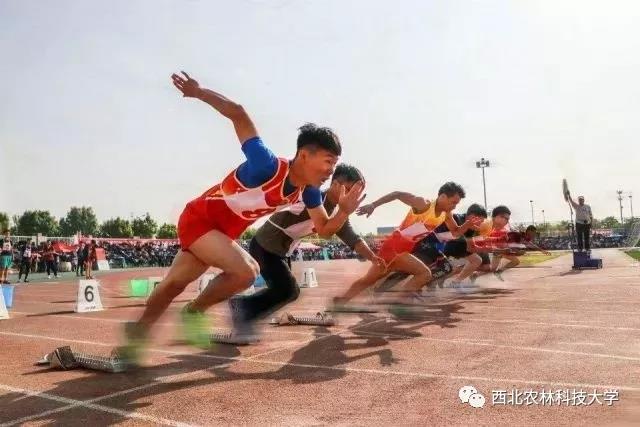 陕西这所985高校：2个学科稳居ESI全球前1‰，走出19位两院院士