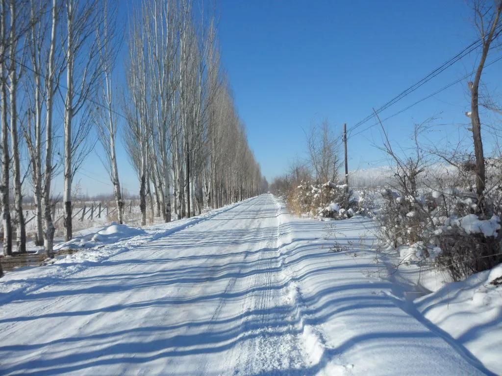 立冬过后冬天来，天气变幻寒难耐，记得添衣加被，愿您生活更精彩