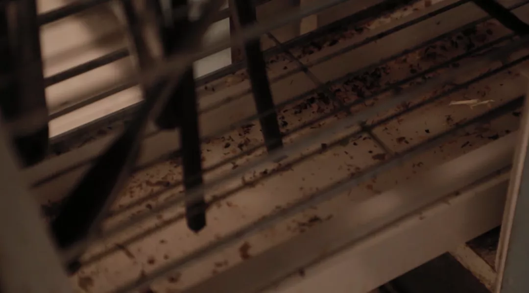 这房子暗得我看不下去了！改造之后变八口阳光之家