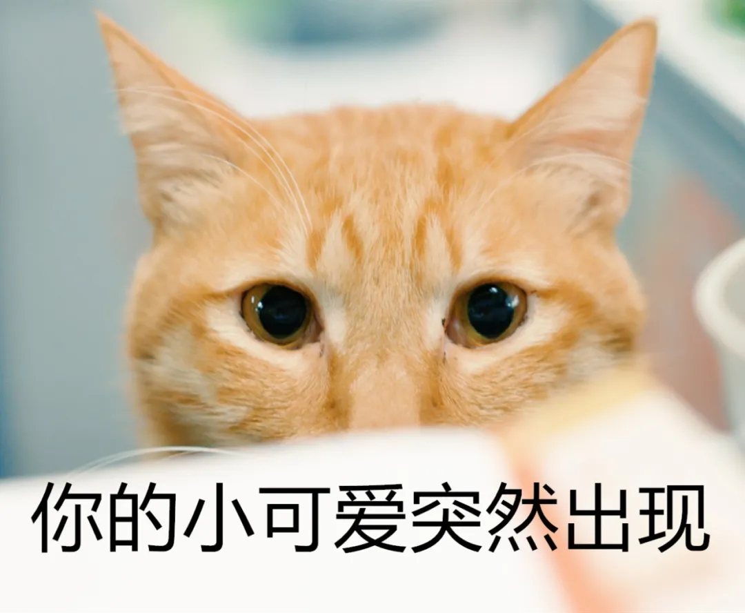 广州必吃榜更新了!这46家店上榜!照着榜单吃就对了
