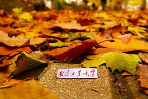 实力顶尖！这5位院士都在南京上大学，还毕业于同所高校！