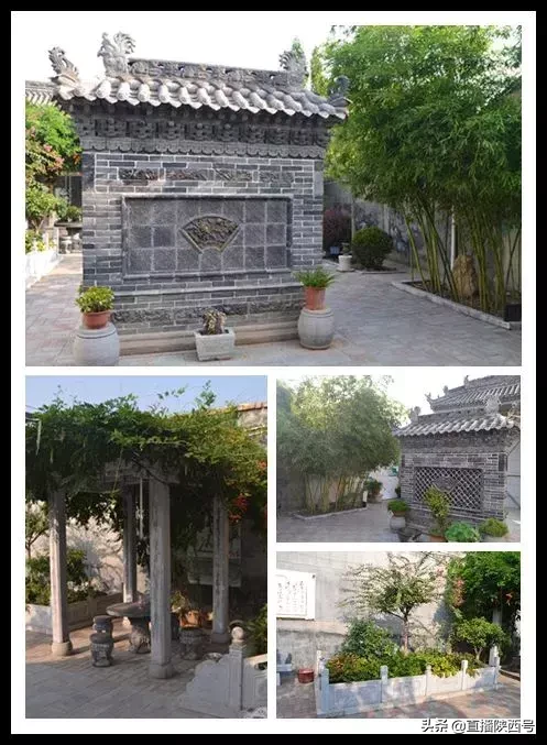 蒲城县吟心琴道馆,非遗文化“梅庵派”古琴精品班您知道吗?