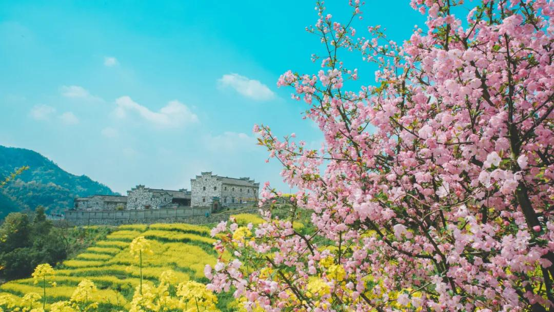 3月最值得去的绝美旅行地,是时候安排一下自己的旅行清单啦