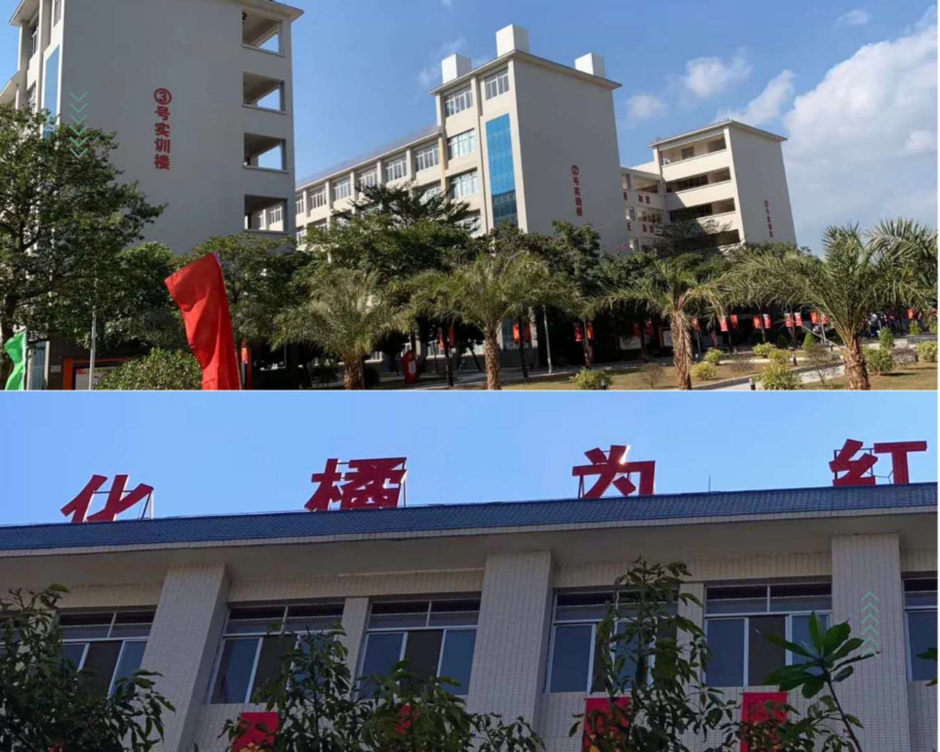 万群哥日记：出差粤西