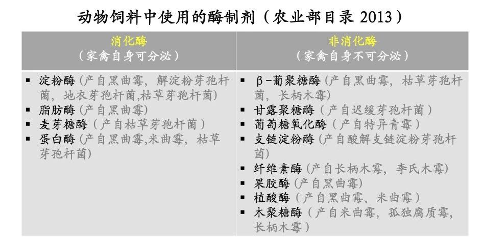 谈蛋白酶，没有比这个更详细的了