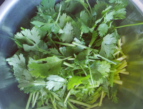 秋后，遇到香菜别错过了，3块5一斤，腌着吃清脆香，我家常做