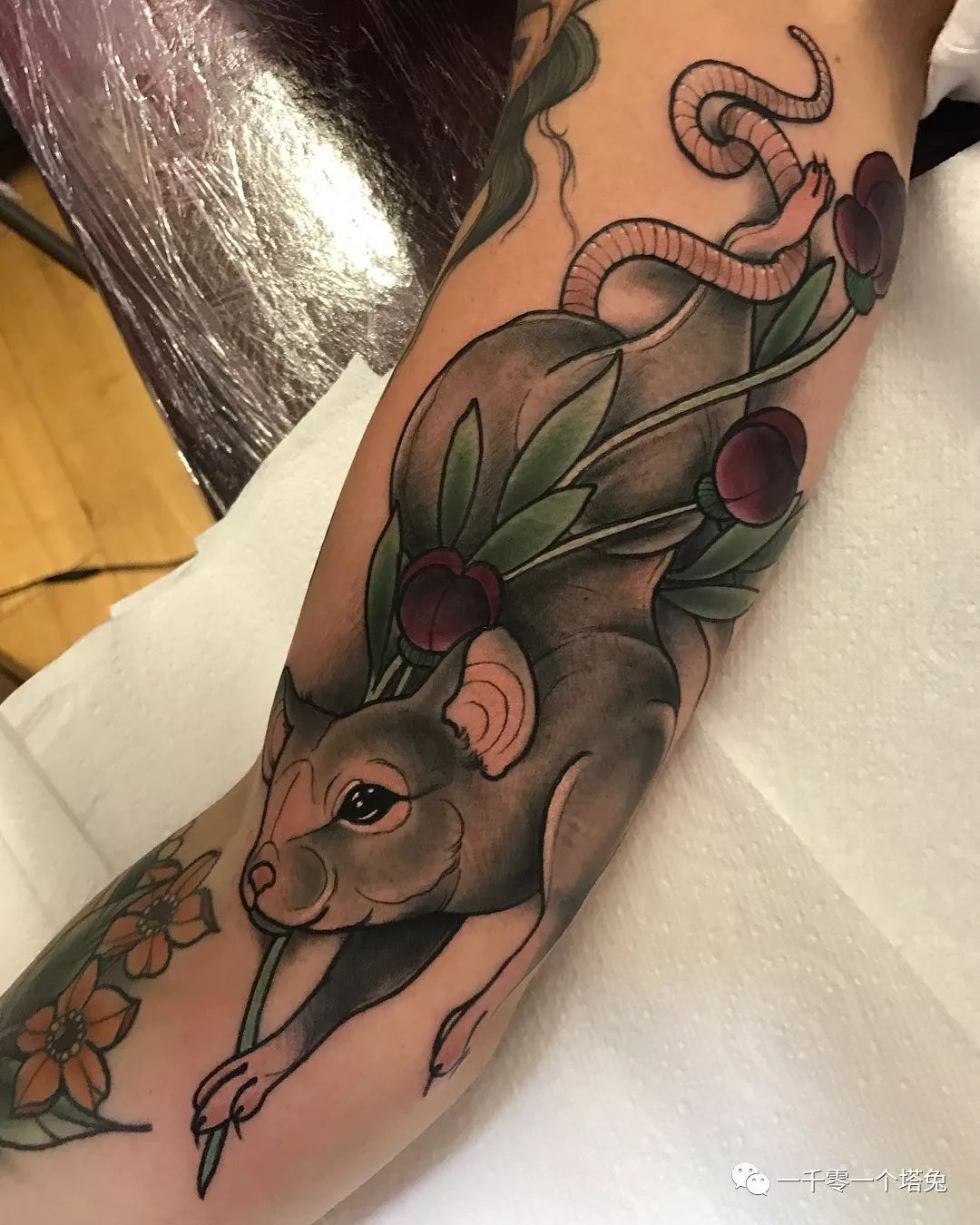 鼠年本命年纹身有什么禁忌?与鼠相合相冲的生肖是哪些?_达一风水网