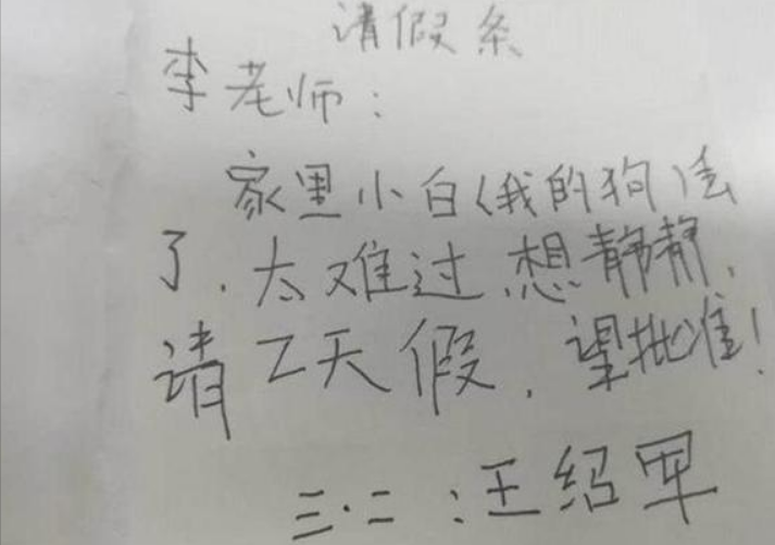小学生“请假条”火了，理由过于“真实”，老师无奈：不得不批