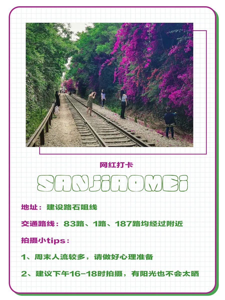 马住！继蓝花楹之后，昆明又添一网红打卡点