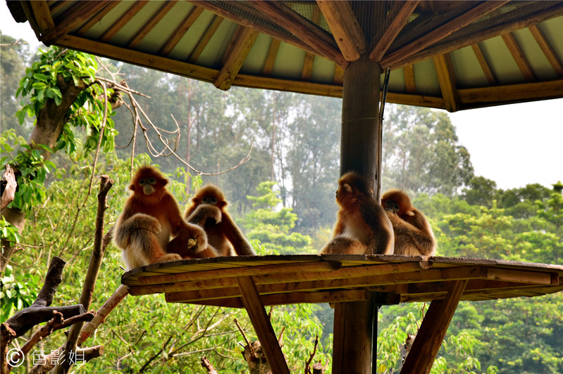 三天三夜欢乐长隆之旅（附攻略）