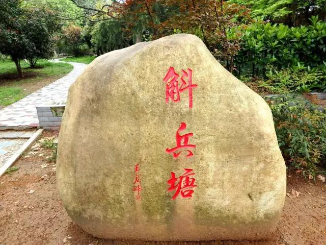 打破国外技术垄断，成果登上新华社，安徽这所