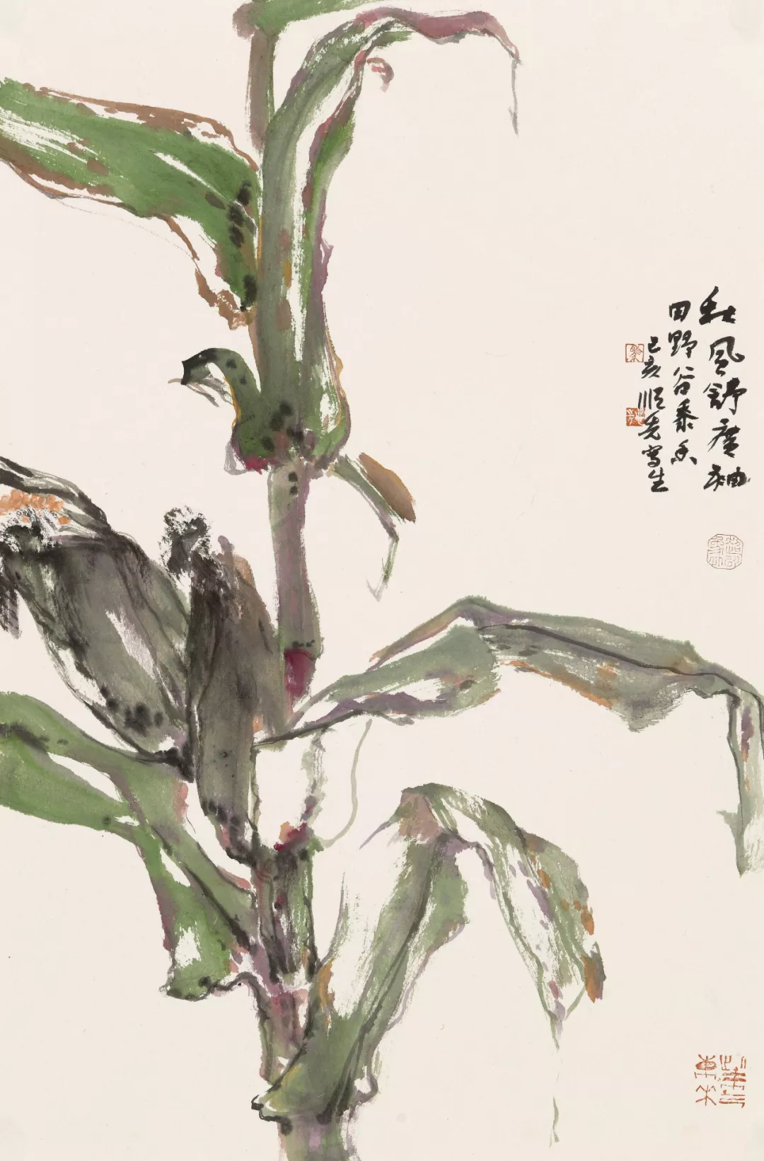 田野畅想曲 | 马顺先的玉米写生