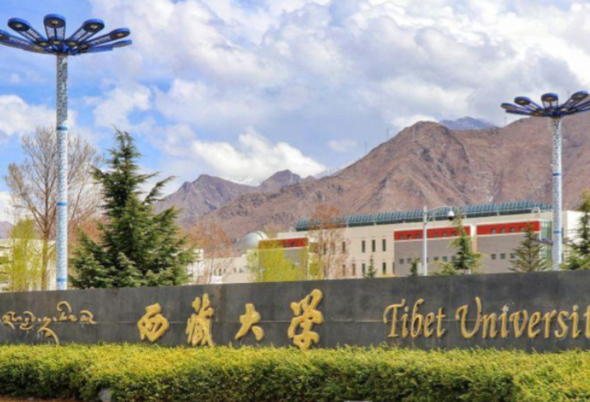 两所响当当的211大学，就业率几乎是100%，为何还是不受考生待见