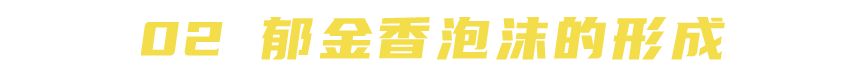 一场泡沫，断送了荷兰的霸主地位