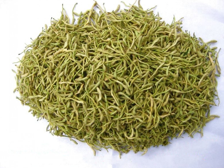 每日中药——金银花--加诺财经