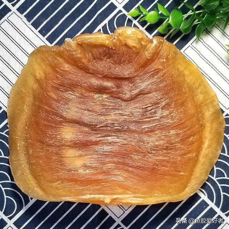 鱼胶越大越好吗？赶快学会这几个技巧，难怪之前都白吃了