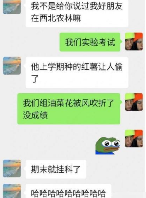 农学生挂科理由有多奇葩？西瓜被偷不算啥，油菜花被吹折太好笑了