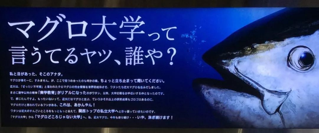 日本人眼中的关西名校排行