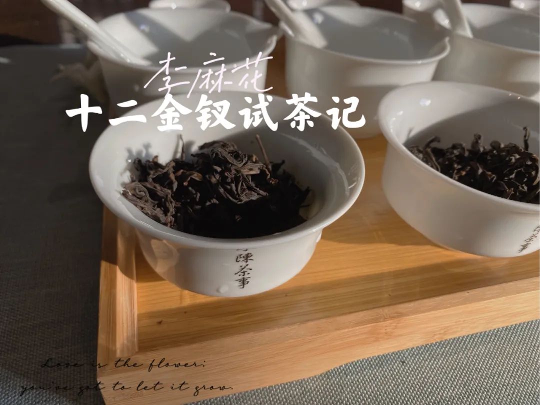 水仙、肉桂、大红袍有什么特点？不懂武夷岩茶，还真说不出来