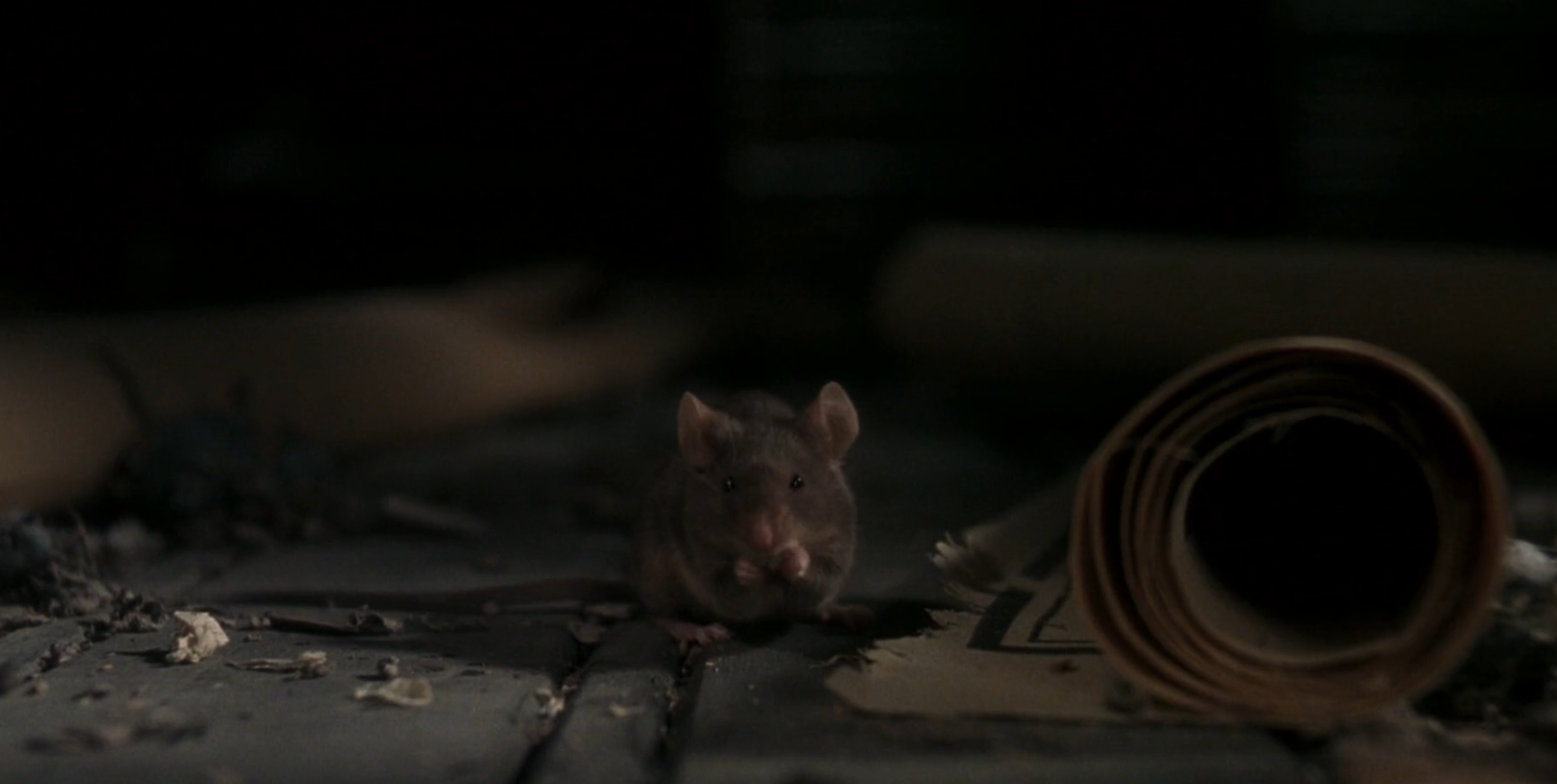 小老鼠有了高智商，上百个捕鼠器都没用，一部搞笑电影《捕鼠记》