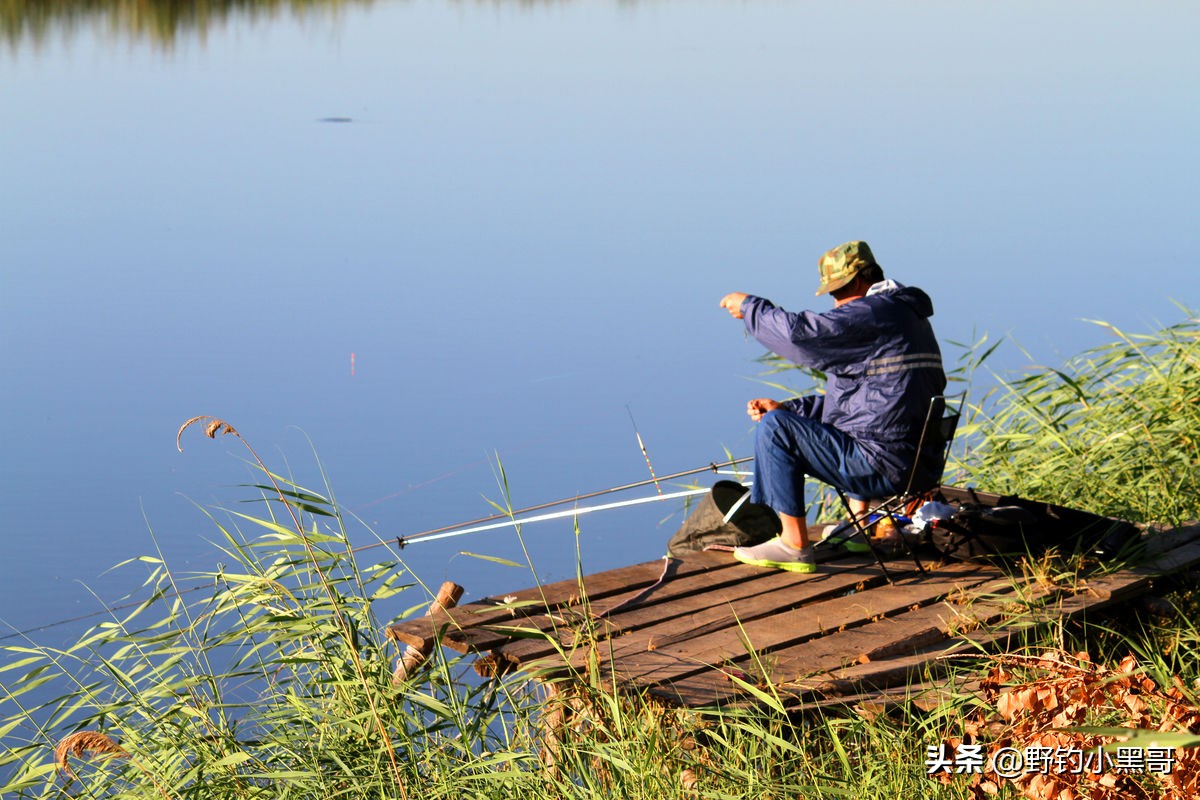 釣鯉魚用什么餌,釣鯉魚用什么餌料最好