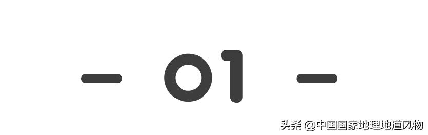 济南人的干饭神器,为什么是“把子肉”?