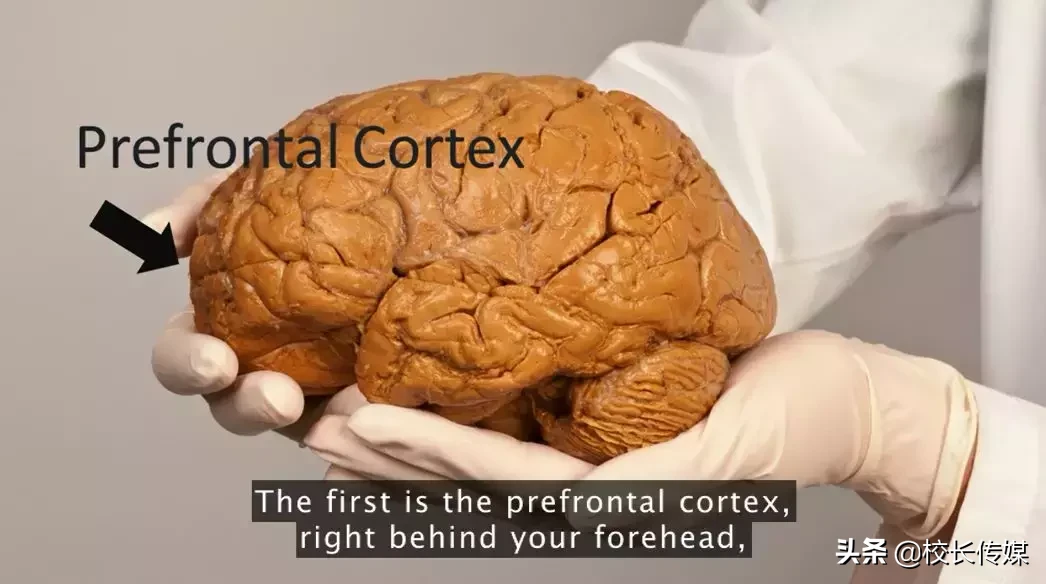 脑科学研究:你永远想不到运动能让大脑变得多么强大