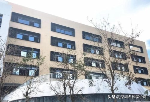 深圳外国语学校龙华校区学位划分是怎样 龙华校区学区房有哪些