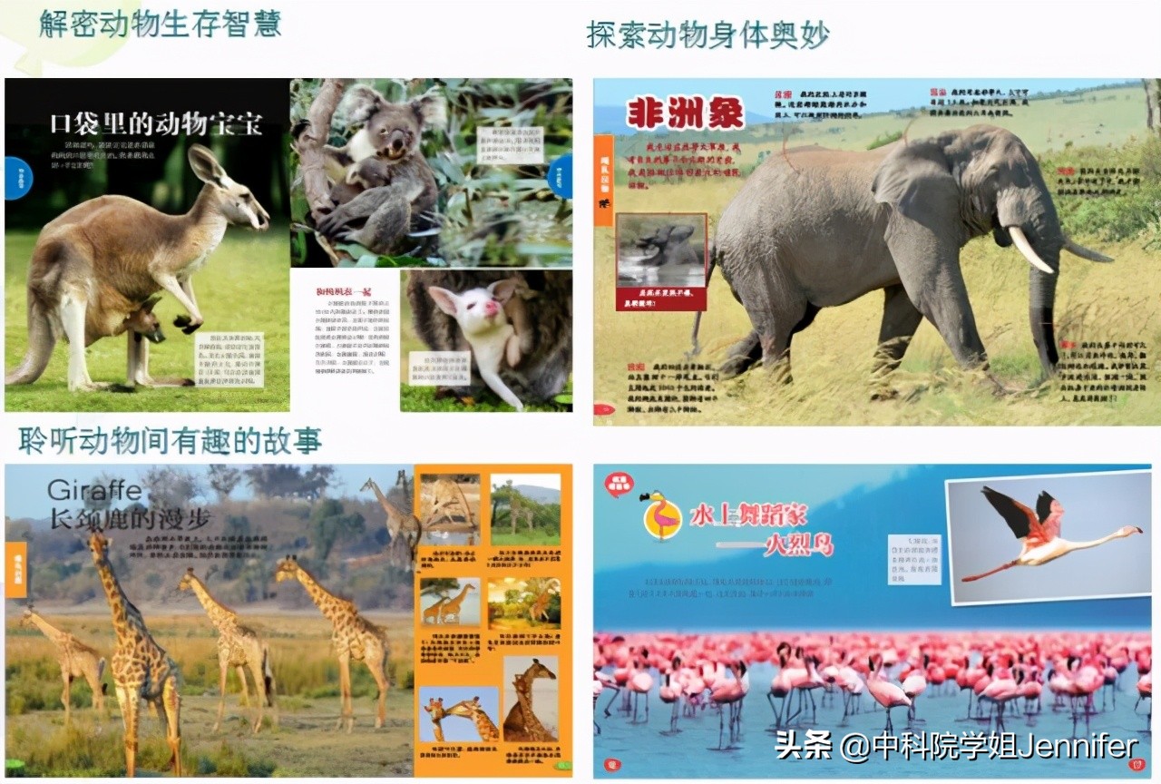 测评：6款国内口碑超厉害的0-8岁儿童杂志，小白妈保存好了