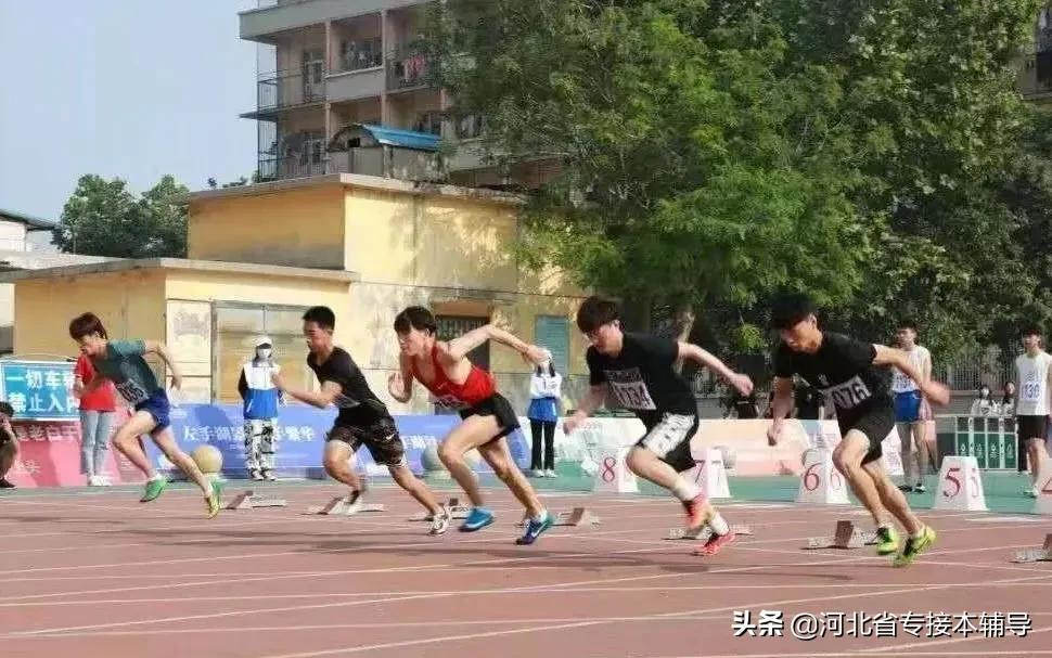 衡水学院：相比上一年招生减少1/3的名额