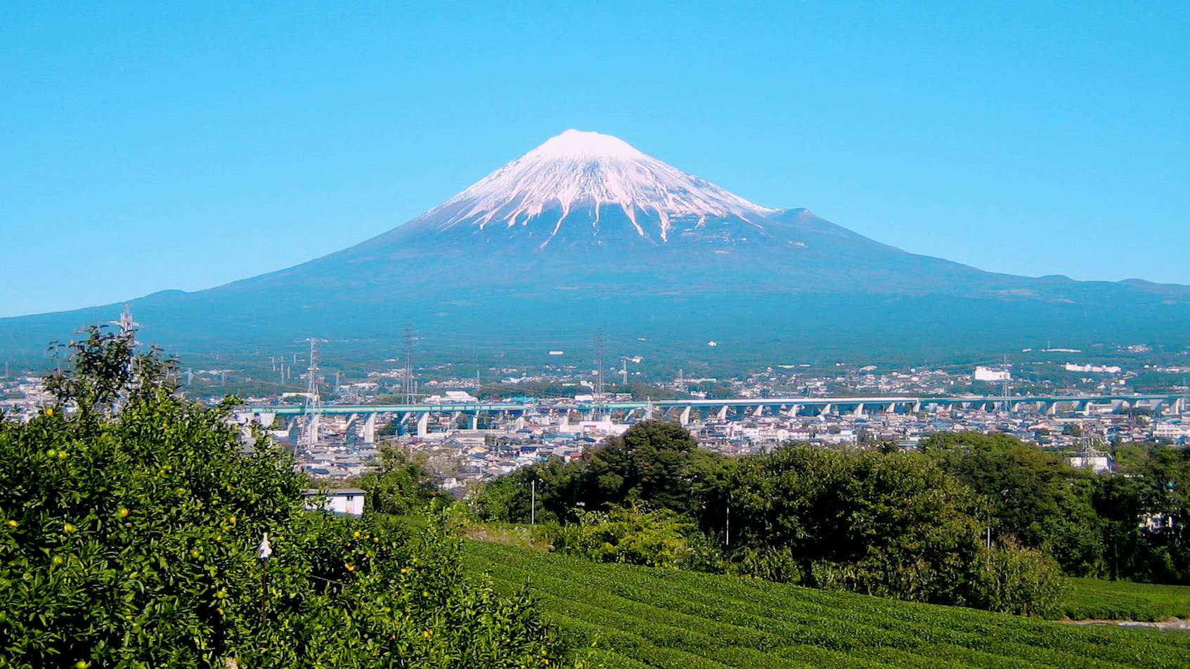 雪洒富士山，看樱花开满山头，象征爱情纯美的样子