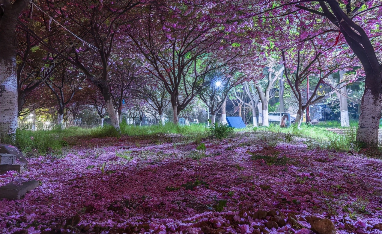 高考最后9天！全国仅14所高校首批入选这项“国家级计划”！