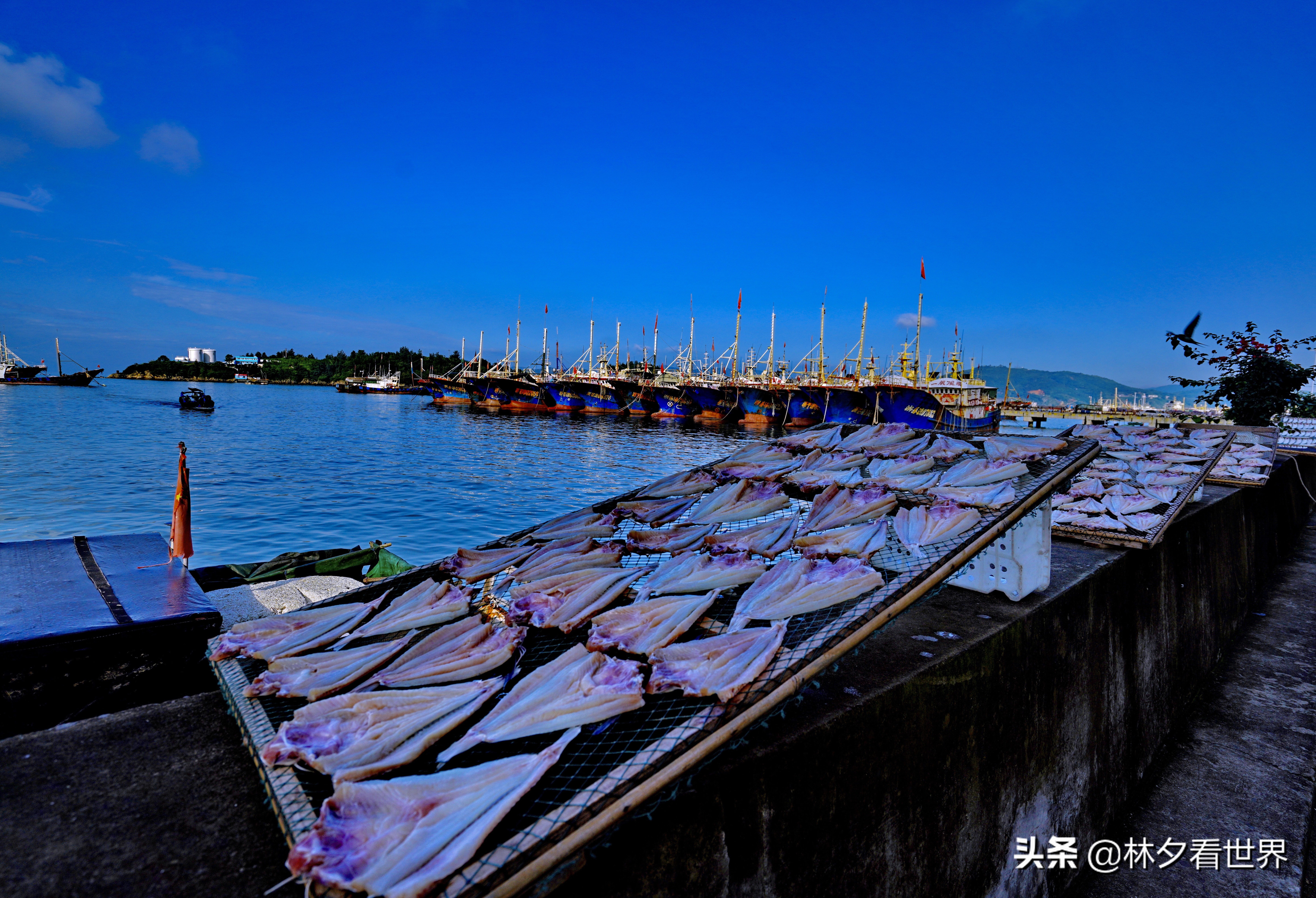 温州哪里好玩景点排名（温州市最好玩的6个景点）