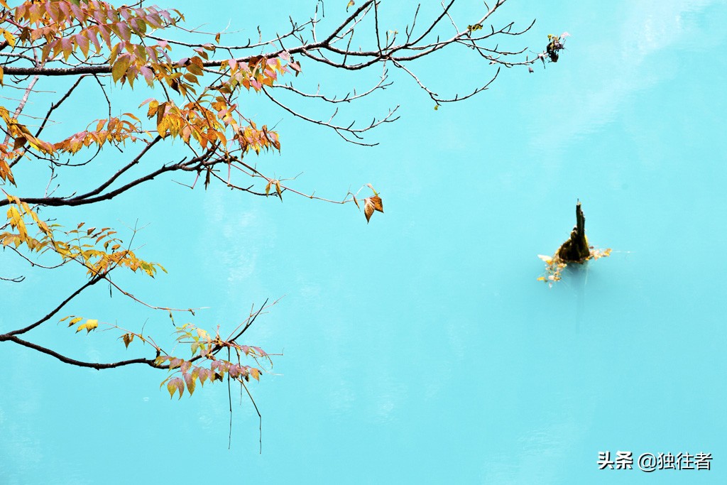 秋天的九寨沟，是个最为灿烂的季节，童话般的人间仙境