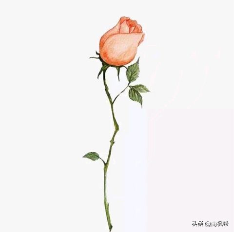 徐志摩经典语句：得之，我幸；不得，我命