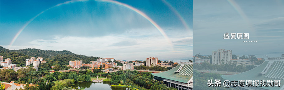学财经专业，厦大和对外经贸，你选哪一个？