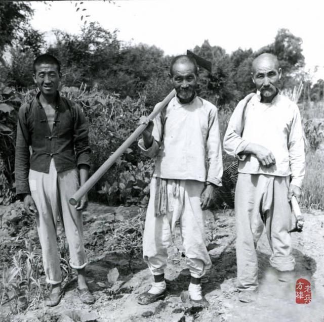 日寇疯狂扫荡，八路军干部被老乡带到一悬崖边：你快下去躲躲